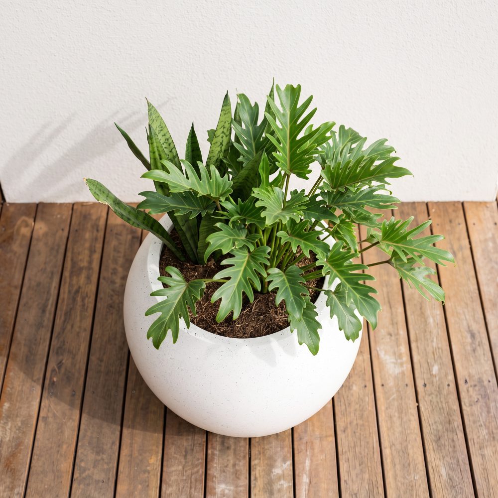 Mougins 43cm All-Weather MGO Stone Planter - Speckled Chalk White